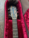 2024 Taylor 210ce Plus