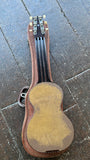 Rickenbacker ACE Lapsteel