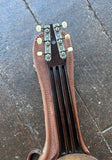 Rickenbacker ACE Lapsteel
