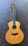 Full shot of 2002 Taylor GS5 atop included hardshell case