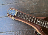 Rickenbacker ACE Lapsteel