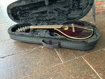 Breedlove Crossover 00 VS