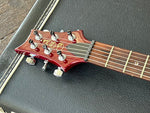 2002 PRS Custom 22 Tremolo 10 Top Moon Inlays