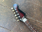 60's FugiGen Electric