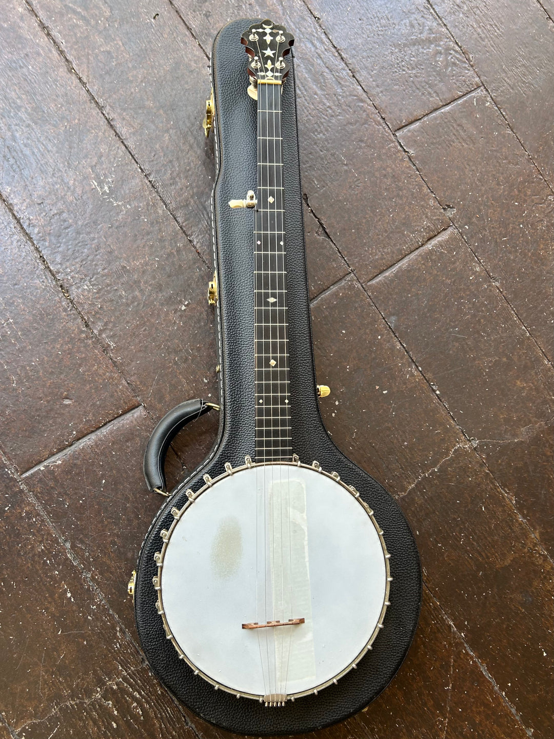 Nechita、Mandolin Soul ＆ Bleu Cheese Mandolin Stands – Zither Music Company