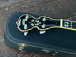 Deering Calico Banjo