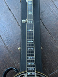 Deering Calico Banjo
