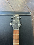 Taylor SB-1 Electric 3 Pickups