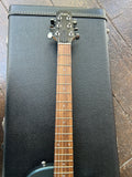 Taylor SB-1 Electric 3 Pickups