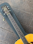 Alvarez Acoustic model 5059