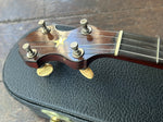 1906 Fairbanks Vega #4 Special