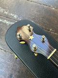 1906 Fairbanks Vega #4 Special