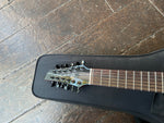 Veillette Avante Gryphon 12-string