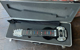 Sierra Lap Steel 8 String