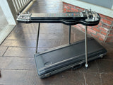 Sierra Lap Steel 8 String