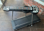 Sierra Lap Steel 8 String