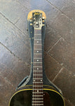 1940's Gibson L-50 Archtop