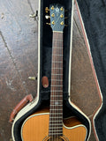 Alvarez Yairi Stage, WY1, Folk/OM