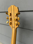 90's Epiphone Sheraton II