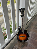 The Loar 520E-VS Performer Mandolin