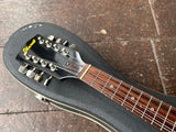 Ibanez Electric Mandolin