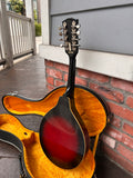 Ibanez Electric Mandolin