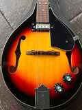 Ibanez Electric Mandolin
