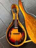 Ibanez Electric Mandolin