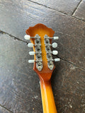 Ibanez Mandolin M700S-AVS F-Style 