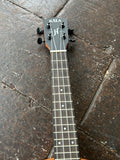 Kala James Hill Signature Solid Top Mahogany Concert Ukulele