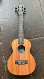 Kala James Hill Signature Solid Top Mahogany Concert Ukulele