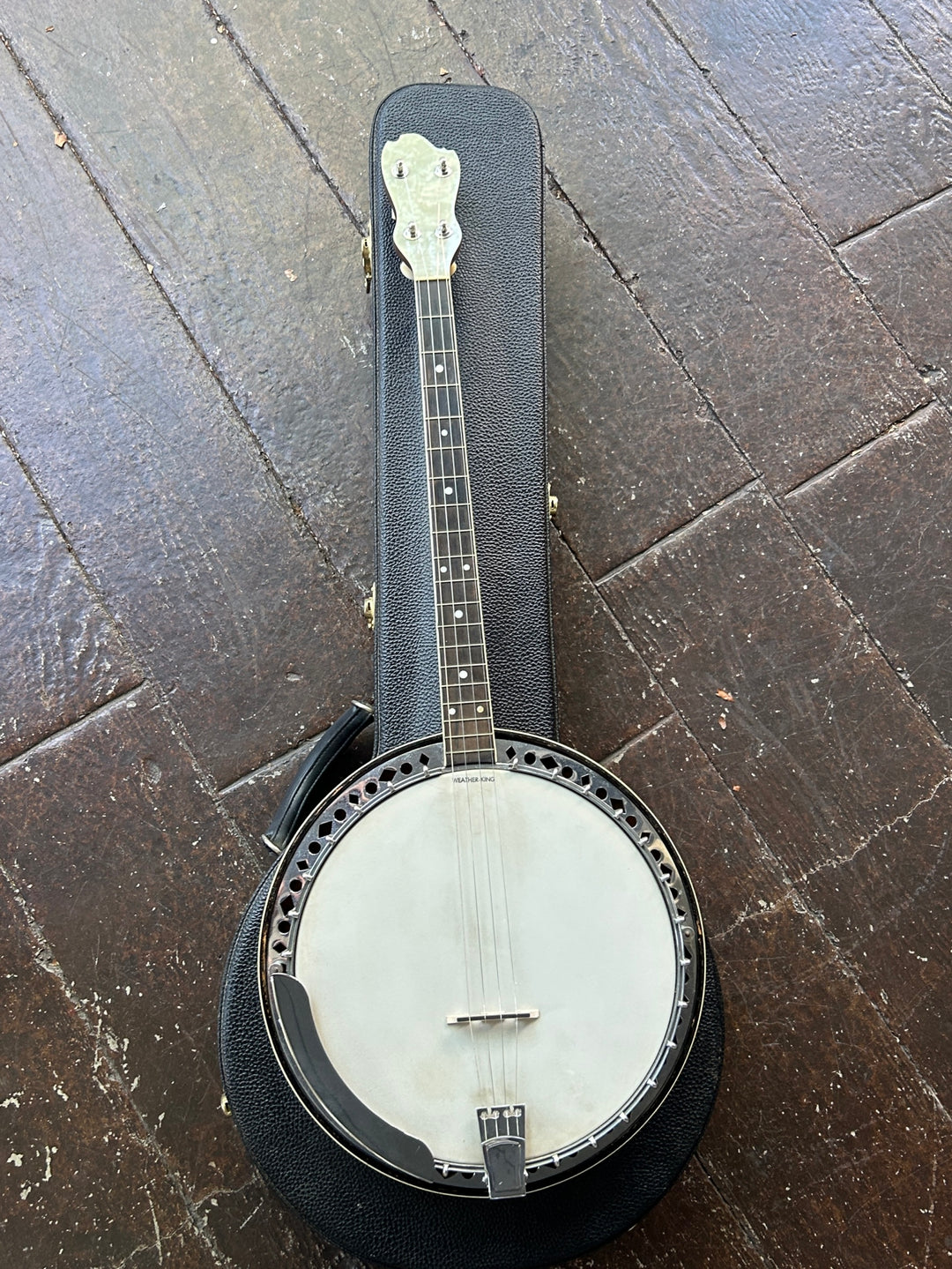 Mandolin / Banjo – Moze Guitars