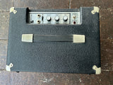 Polytone Mini Brute I