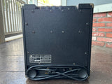 Polytone Mini Brute I