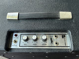 Polytone Mini Brute I