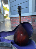 Regal Mandolin