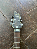 Schecter C1 Platinum