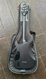 Schecter C1 Platinum