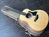 2025 Taylor GS Mini