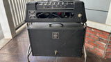 Vox Berkeley II (Model V1081) With Vox Super Berkeley III Cabinet (Model V4083)