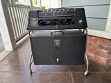 Vox Berkeley II (Model V1081) With Vox Super Berkeley III Cabinet (Model V4083)