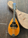 Washburn Bowl Back Mandolin