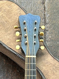 Washburn Bowl Back Mandolin