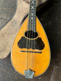 Washburn Bowl Back Mandolin