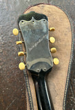 Washburn Bowl Back Mandolin