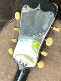 Washburn Bowl Back Mandolin