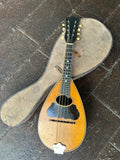 Washburn Bowl Back Mandolin