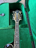 Washburn M3SWK-D F Style Mandolin Tobacco Sunburst w/ Case