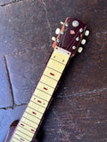 Headstock and Neck shot for Teisco Model P Lap Steel