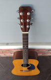 1969 Martin D21 with Brazilian Rosewood